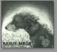 Deerhound, 2010, 27,2 x 29,9 cm, Bleistiftzeichnung, weiß gehöht, auf Transparentpapier, auf Karton aufgezogen
