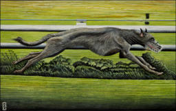 " Deerhound Darianna ", 2012, Grafik Mischtechnik auf Karton, 14,5x22,9 cm, Privatbesitz